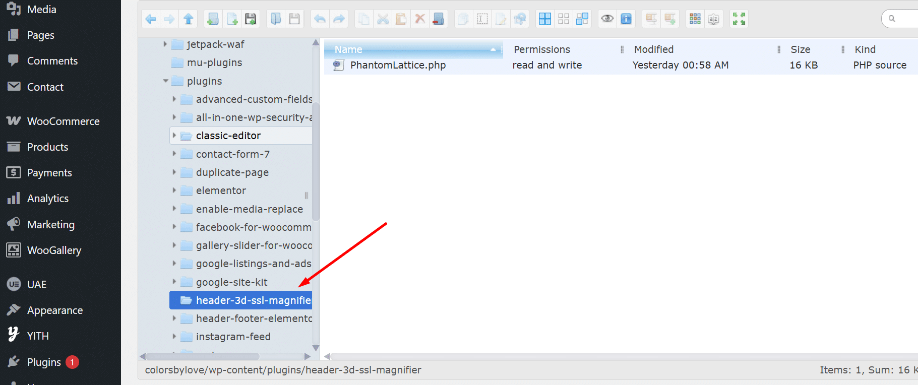 PhantomLattice.php found inside a disguised plugin folder