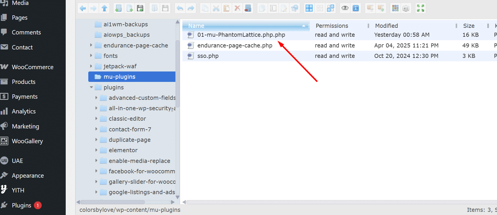01-mu-PhantomLattice.php inside the WordPress mu-plugins folder